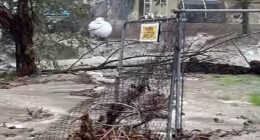 The holiday period is forecast to be a washout for the Golden State this year, with meteorologists warning that up to eight inches of rain is expected to hit several areas including Los Angeles County and Santa Barbara over the next four days