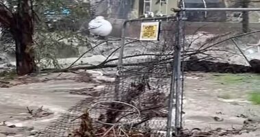 The holiday period is forecast to be a washout for the Golden State this year, with meteorologists warning that up to eight inches of rain is expected to hit several areas including Los Angeles County and Santa Barbara over the next four days