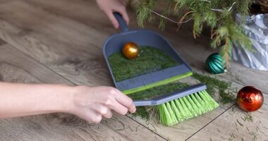 Shortfall: A reader's 'non-drop' Christmas tree starting shedding its needles after just one week