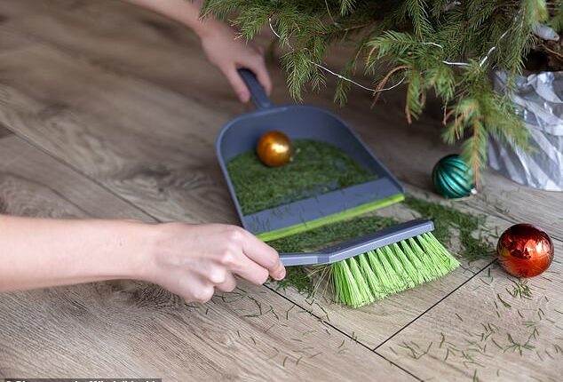 Shortfall: A reader's 'non-drop' Christmas tree starting shedding its needles after just one week