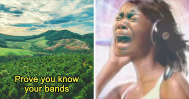 “Can You Identify These Reworded Band Names?”: 28 Challenging, But Funny Phrasings