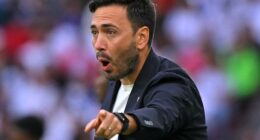 Davide Ancelotti has left his first managerial role just months after joining Brazil's Botafogo