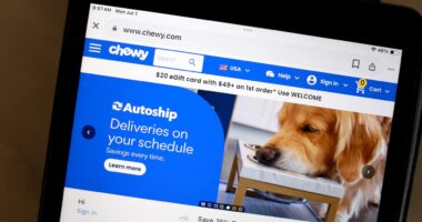 Chewy+ subscriptions strength helps extend the streak of growing ‘pegged’ customers