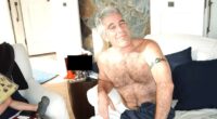 Disgraced financier Jeffrey Epstein is all smiles in the picture as he poses without a shirt and with what appears to be a white towel wrapped around his waist on a couch