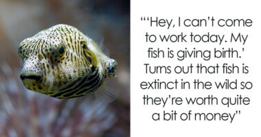 “Chinchilla Ate Her Wallet”: 78 Strange Excuses For Missing Work That You Just Can’t Make Up