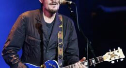 Mr Rea's older sister Camille Whitaker, 79, described the death of the 'Driving Home for Christmas' star (pictured on his farewell tour in 2006) as 'tragic' and said the sudden loss had left the family in shock coming so soon after two other deaths, of their brother and then sister