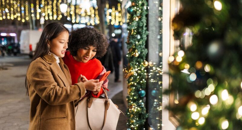 Christmas shopping: The hidden risks of using Klarna and Afterpay