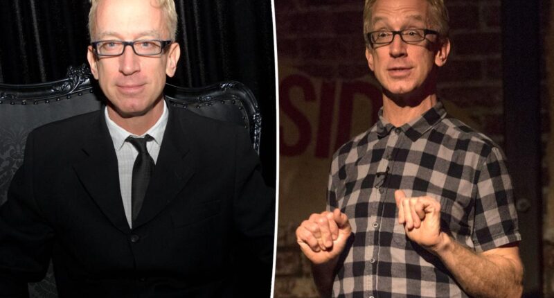 Comedian Andy Dick checks himself into rehab after crack cocaine overdose
