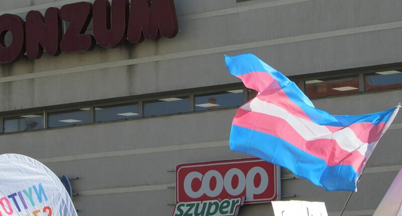 D.C. Appeals Court Upholds Trump's 'Trans' Military Prohibition