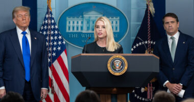 DOJ Accuses Democratic Campaign Arm of Obstruction in California Redistricting Case.