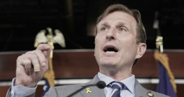 Dan Goldman Goes to Bat for Violent Criminal Illegals in NYC, Gets Schooled by DHS – RedState