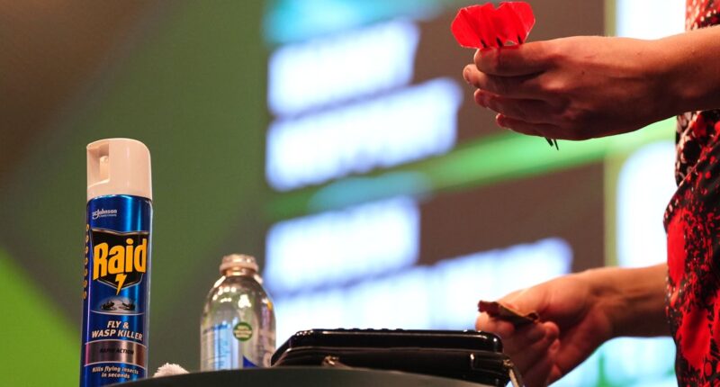 Darts player brings insect spray on stage as wasps wreak havoc at worlds