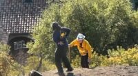 New details have emerged after texts show State Park Officials were worried about endangered plants during the initial response of the Lachman fire
