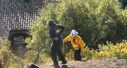New details have emerged after texts show State Park Officials were worried about endangered plants during the initial response of the Lachman fire