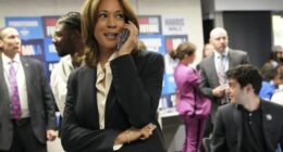 Dem Insiders Reportedly Furious That DNC Chose to Bury Report About '24 Election Failures – RedState