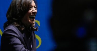 Democrats Might Be Settling for the Best of the Worst – HotAir