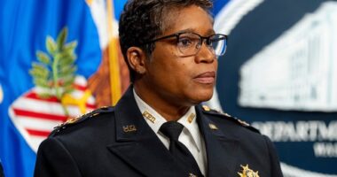 Disgraced DC Police Chief Who Cooked Crime Stats Melts Down in One Doozy of a Final Rant – RedState