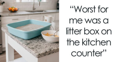 “Everything Was Pink”: 50 Startling Things Home Service Professionals Saw At Clients’ Homes