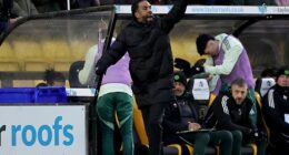 Nancy tries to cajole his players from the touchline amid the chaos of the Livingston game