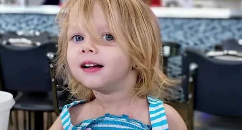 Family’s Pit Bull Severed 2-Year-Old’s Ear Weeks Before it Killed Her in Locked Room