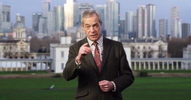 Farage's New Year's Appeal to Britons – 'Reform is Britain's Last Chance.'
