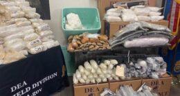 Former DEA CFO Under Obama Arrested for Laundering Cartel Money – HotAir