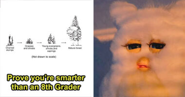 From Math To Science: 32 Questions To See If You Can Beat The Average 8th-Grade Student