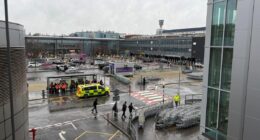 Girl, 3, among 21 injured after woman robbed of suitcase in ‘pepper spray’ attack outside Heathrow airport