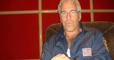 Glaring gaps in Epstein files as released docs offer scant new insight into his crimes