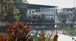 Goa nightclub fire: Tourists and staff among 25 dead after blaze tears through packed dance floor