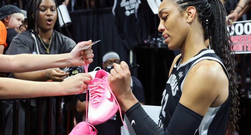 Goldman Sachs is pinning hopes on these consumers in 2026. Here are the stock picks.