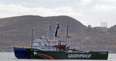 Greenpeace Lost in a US Court Over Pipeline Damage, Skitters to Dutch Court to 'Overturn' Judgement – HotAir