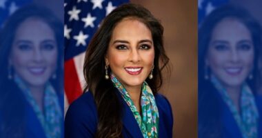 Guess Who Else Jack Smith Spied on With Arctic Frost? Harmeet Dhillon – RedState