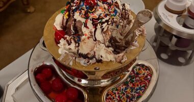 A guest at the luxurious Plaza Hotel in New York Citywas left outraged after discovering her ice cream sundae cost nearly $500. The sundae is seen in a previous video shared in January