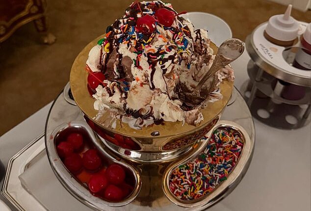 A guest at the luxurious Plaza Hotel in New York Citywas left outraged after discovering her ice cream sundae cost nearly $500. The sundae is seen in a previous video shared in January