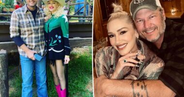 Gwen Stefani is hot for Blake Shelton's farmer boy skills