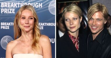 Gwyneth Paltrow Under Fire After Confessing How She Treated Brad Pitt During Their Relationship