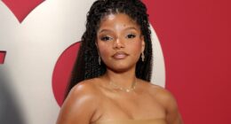 Halle Bailey Stylist Jehcara Nelson Speaks Out Posting Photo Halo Court Social Media Ban DDG Custody Case