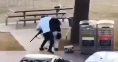 In the footage Mr Al Ahmed is seen disarming the gunman