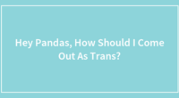 Hey Pandas, How Should I Come Out As Trans?