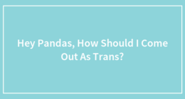 Hey Pandas, How Should I Come Out As Trans?