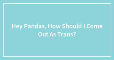 Hey Pandas, How Should I Come Out As Trans?