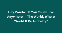 Hey Pandas, If You Could Live Anywhere In The World, Where Would It Be And Why?