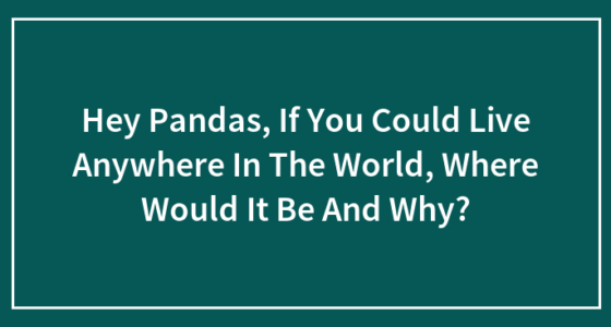 Hey Pandas, If You Could Live Anywhere In The World, Where Would It Be And Why?