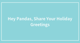 Hey Pandas, Share Your Holiday Greetings