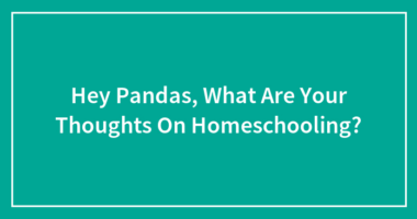Hey Pandas, What Are Your Thoughts On Homeschooling?