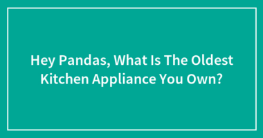 Hey Pandas, What Is The Oldest Kitchen Appliance You Own?