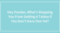 Hey Pandas, What’s Stopping You From Getting A Tattoo If You Don’t Have One Yet?