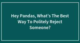 Hey Pandas, What’s The Best Way To Politely Reject Someone?