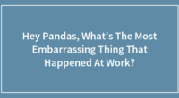 Hey Pandas, What’s The Most Embarrassing Thing That Happened At Work?
